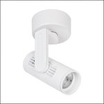 Đèn Rọi Ray FN - 358
